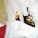 Michigan sophomore Rachel Choi assembles her Festifools creation on Friday, April 5. Daniel Brenner I AnnArbor.com